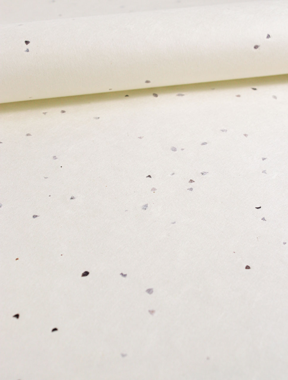 Close-up of a white surface with seed inclusion