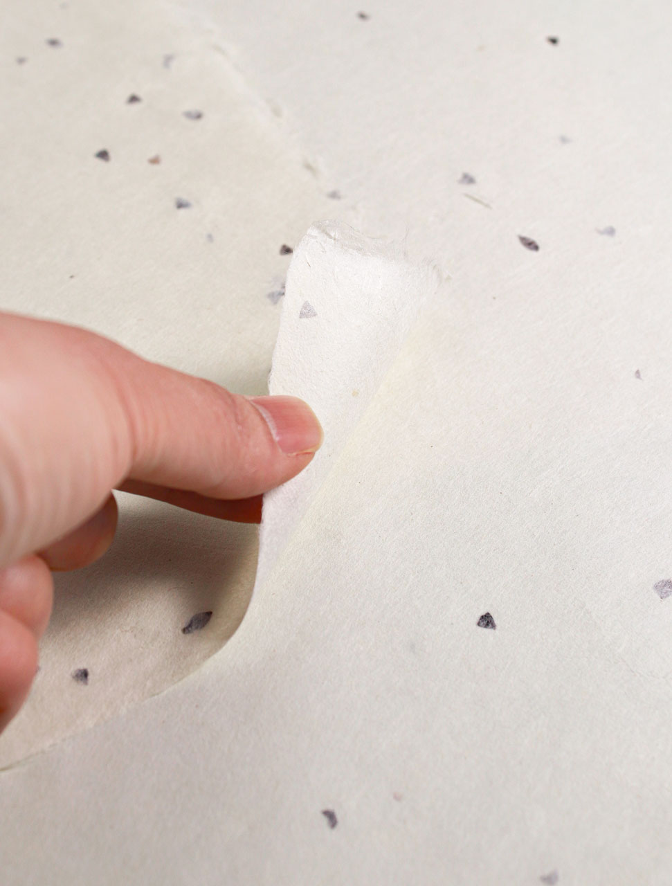 Hand holding a piece of white paper with seed inclusion