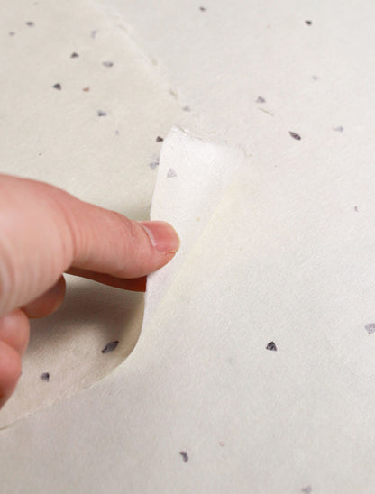Hand holding a piece of white paper with seed inclusion
