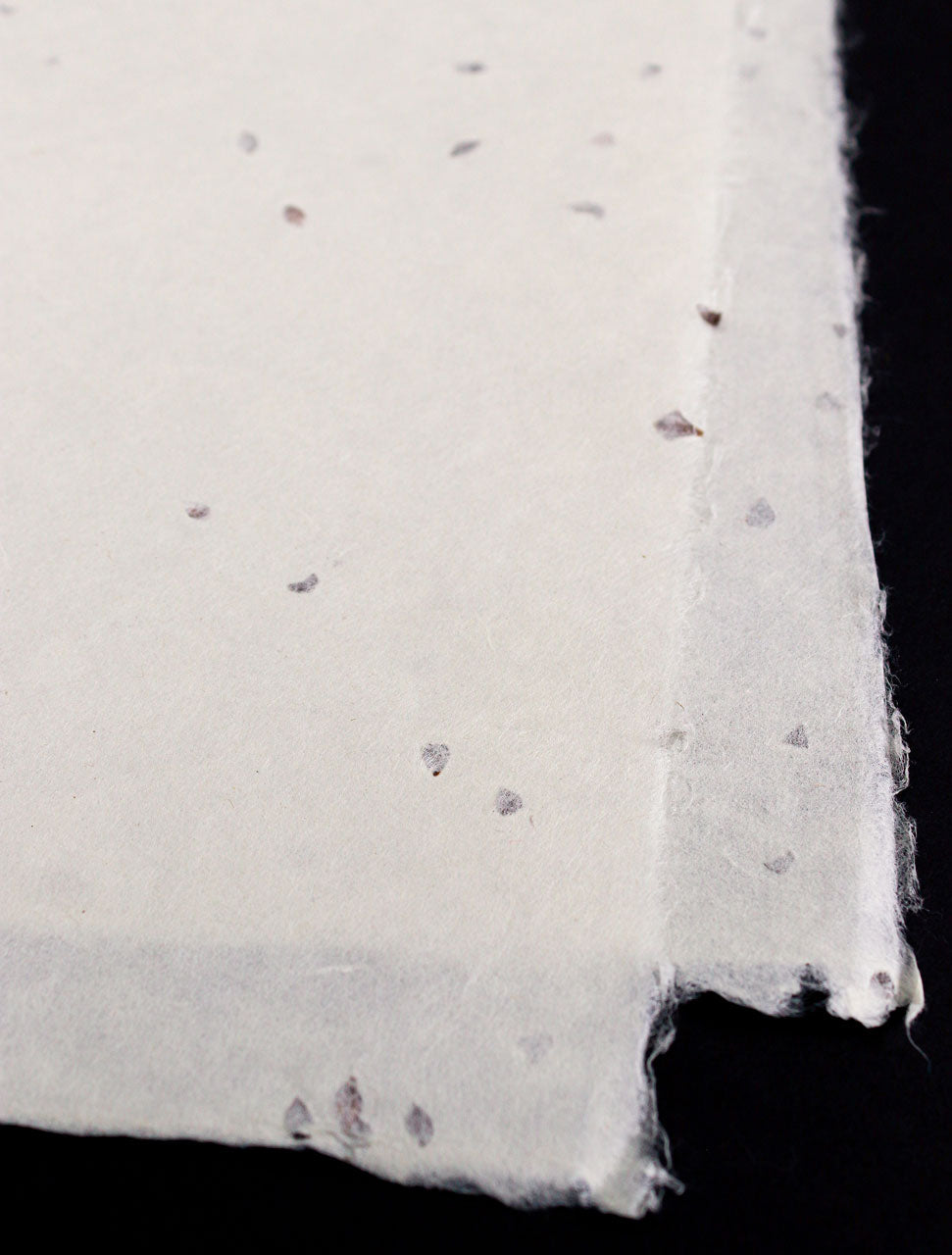 Close-up of a white paper with seed inclusion on a black background