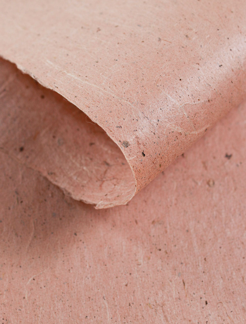 Taniai with Gohoku Village Red Clay
