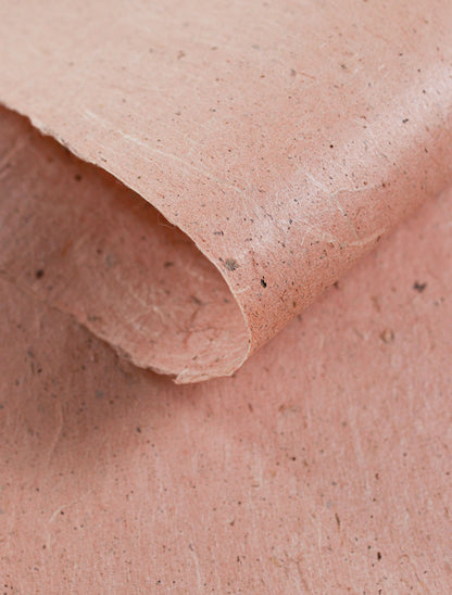 Taniai with Gohoku Village Red Clay