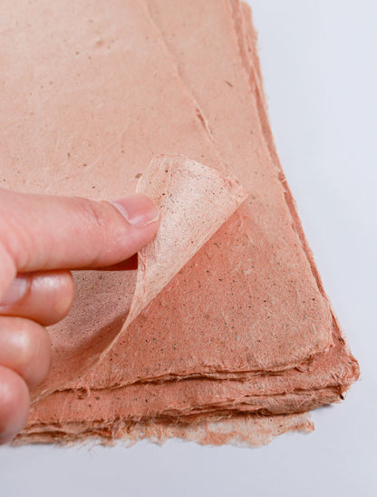 Taniai with Gohoku Village Red Clay