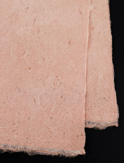 Taniai with Gohoku Village Red Clay